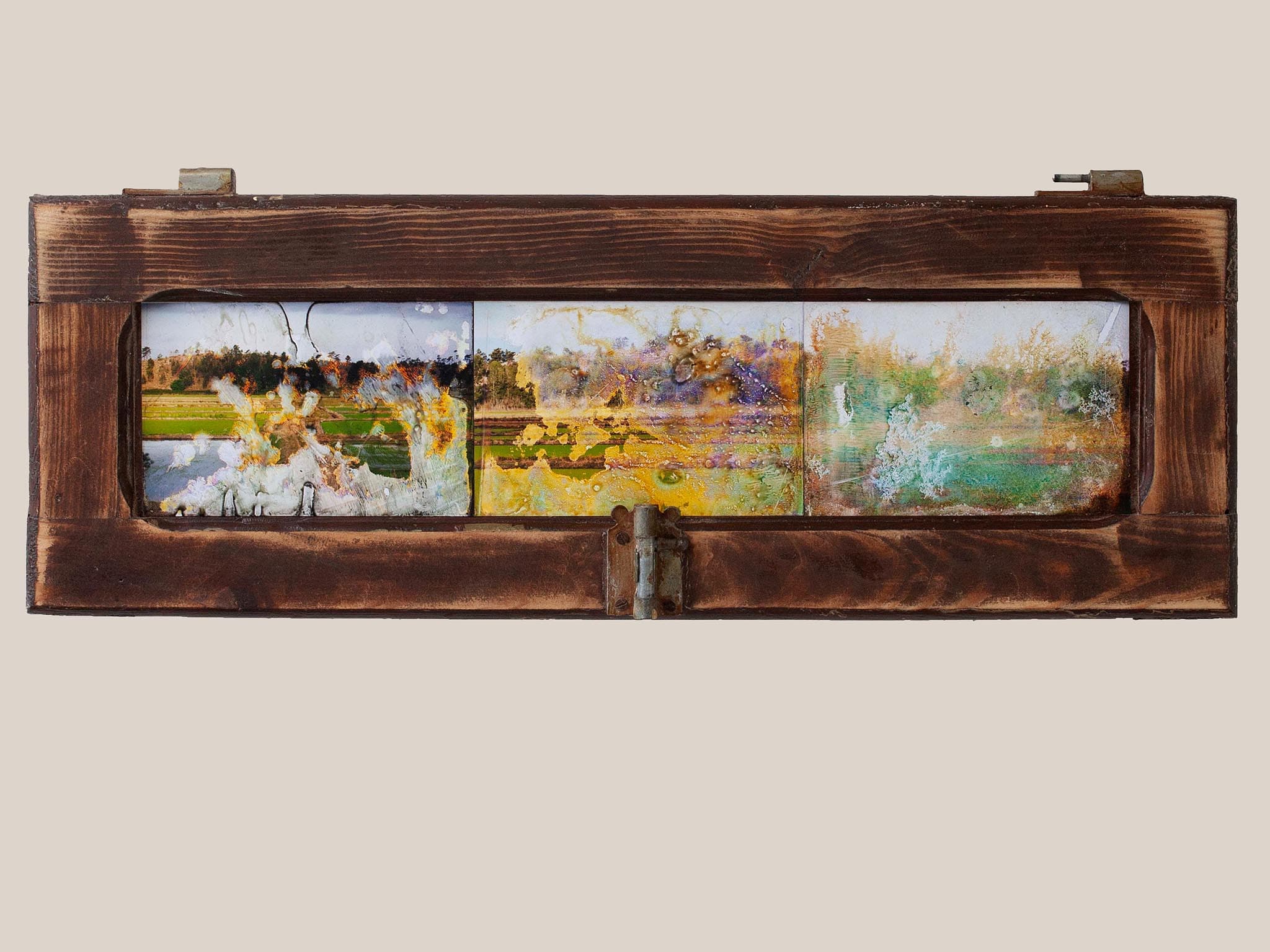 Photo-watercolours_3_Rice fields_Torre